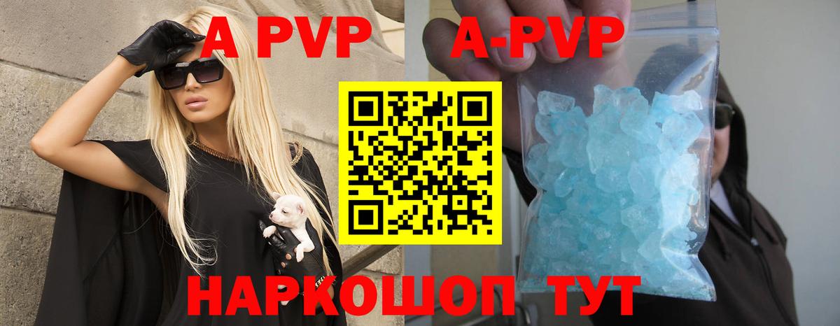 Alfa_PVP СК Гудермес