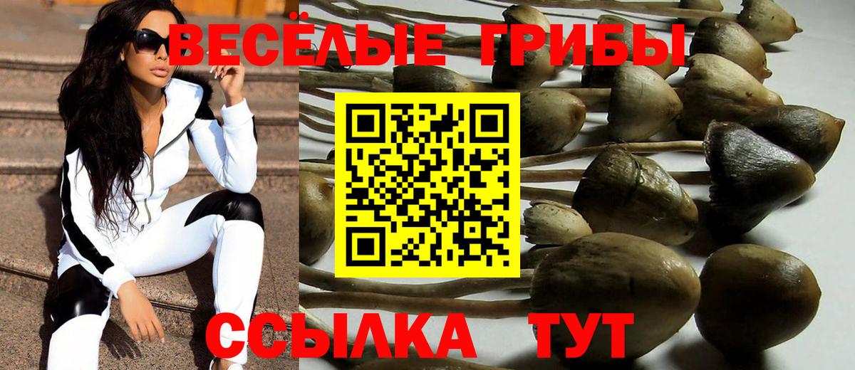 Галлюциногенные грибы Magic Shrooms Гудермес