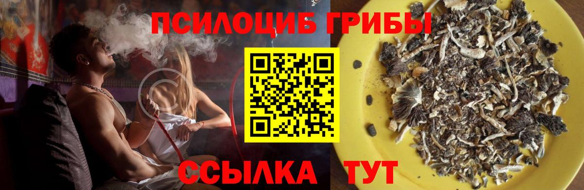 наркошоп  Галлюциногенные грибы Cubensis  Галлюциногенные грибы прущие грибы  Вход с VPN  Гудермес 