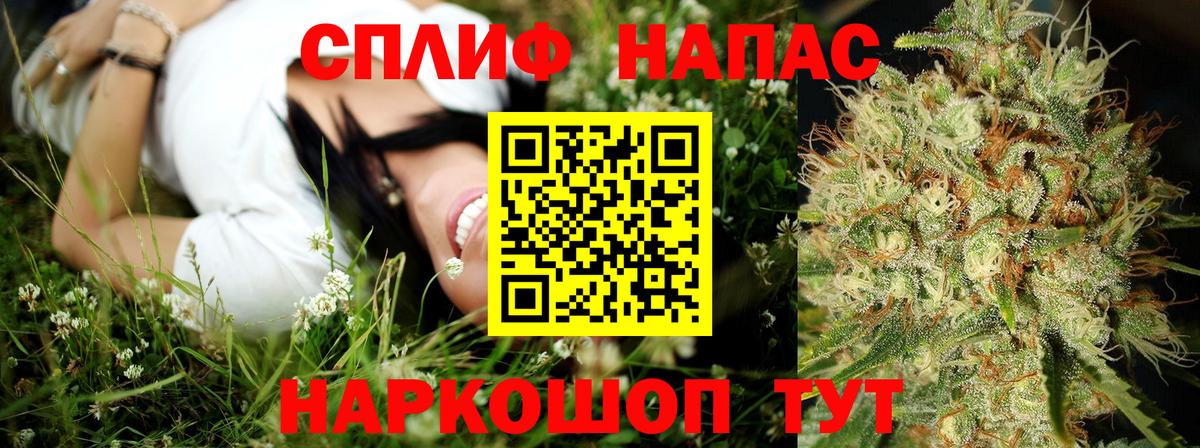 Шишки марихуана Amnesia  Шишки марихуана семена  Вход с VPN  Гудермес  Марихуана марихуана 